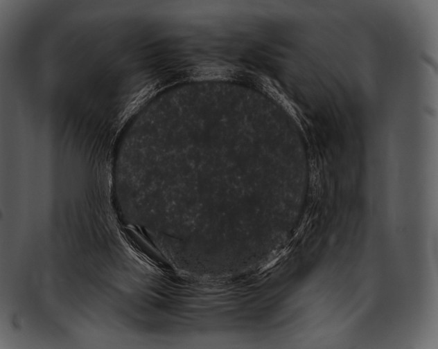 X0000097500059200803201601