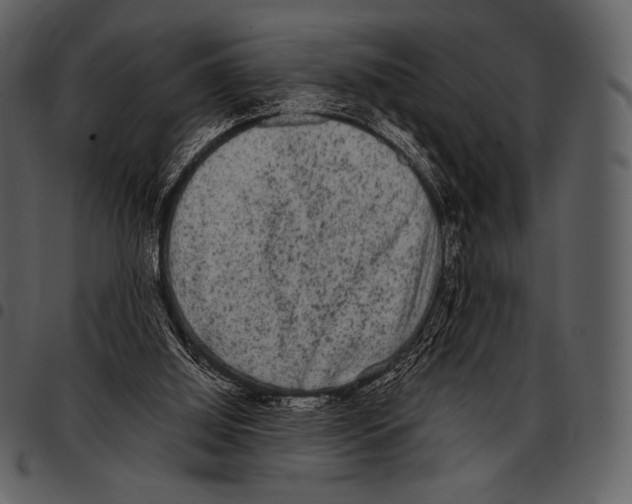X0000097500060200803201601