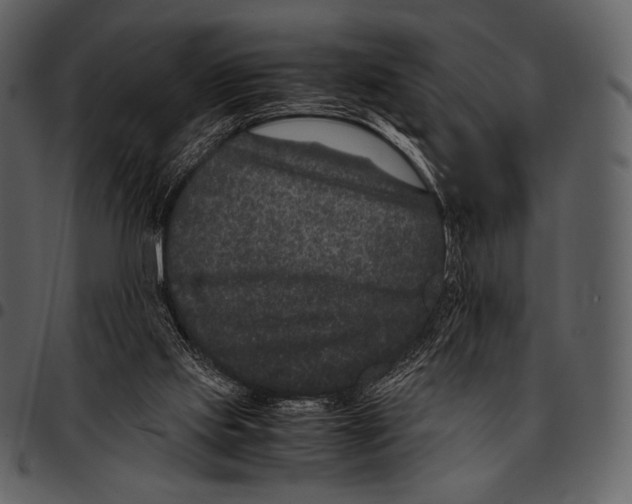 X0000097500061200803201601