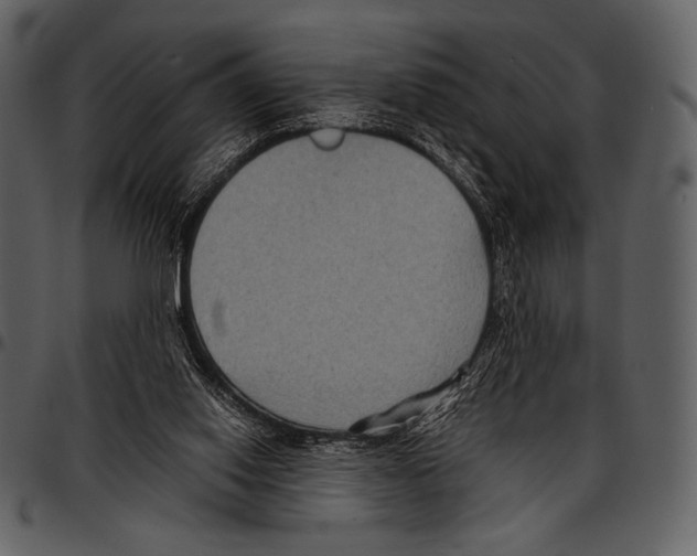 X0000097500062200803201601
