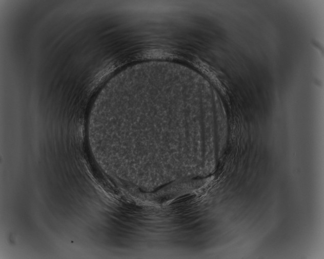 X0000097500063200803201601