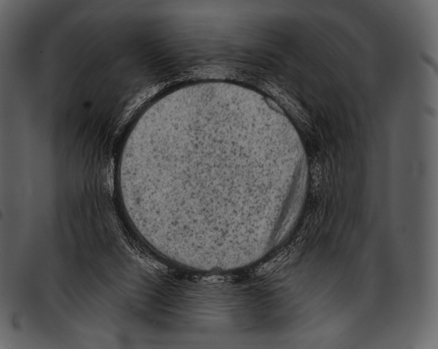 X0000097500064200803201601