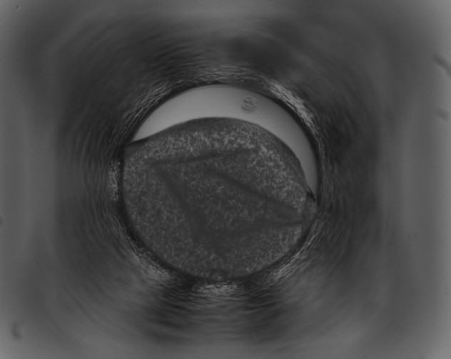 X0000097500065200803201601