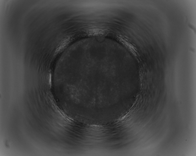 X0000097500067200803201601