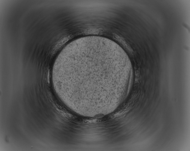 X0000097500068200803201601
