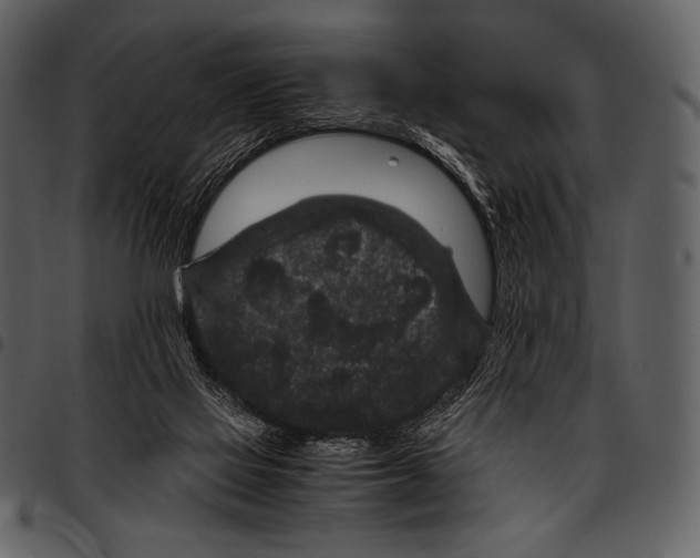 X0000097500069200803201601