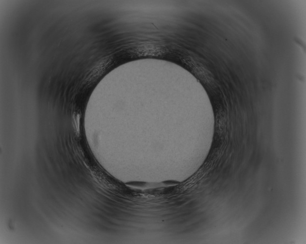 X0000097500070200803201601