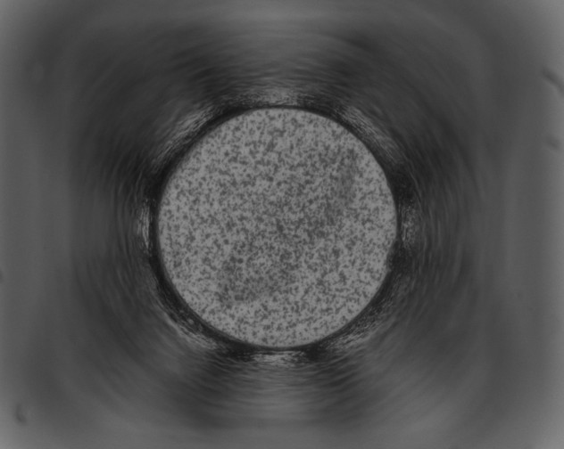 X0000097500072200803201601
