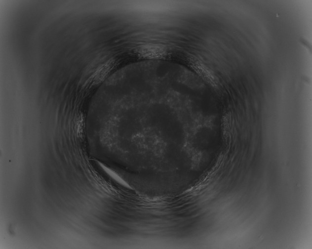 X0000097500073200803201601