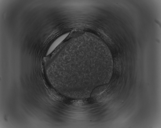 X0000097500074200803201601