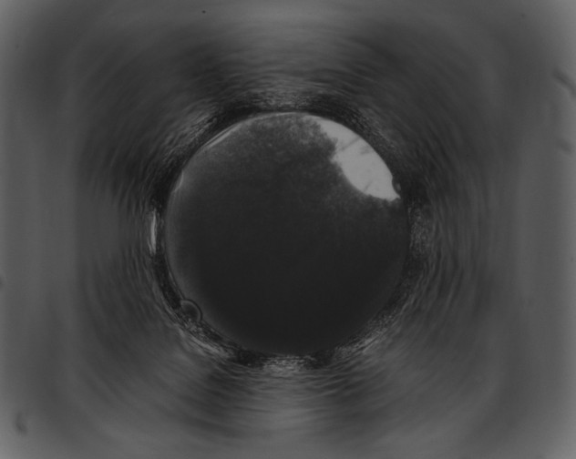X0000097500076200803201601