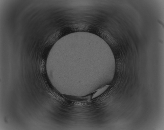 X0000097500077200803201601
