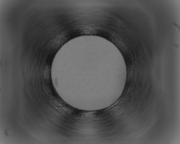 X0000097500078200803201601
