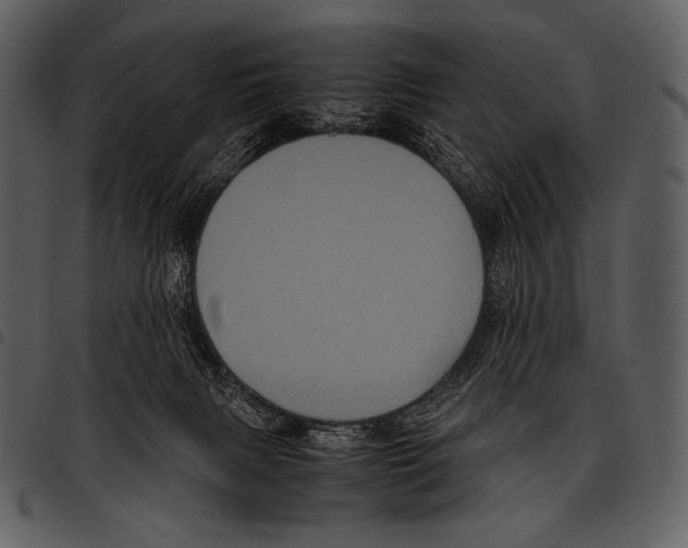 X0000097500079200803201602