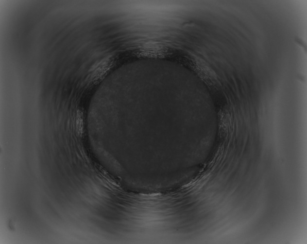 X0000097500080200803201602