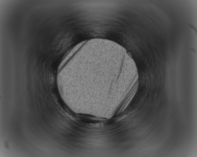 X0000097500084200803201602
