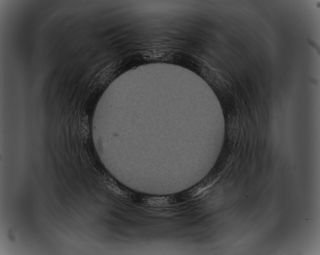 X0000097500085200803201602