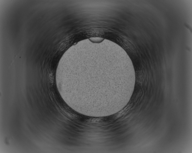 X0000097500086200803201602