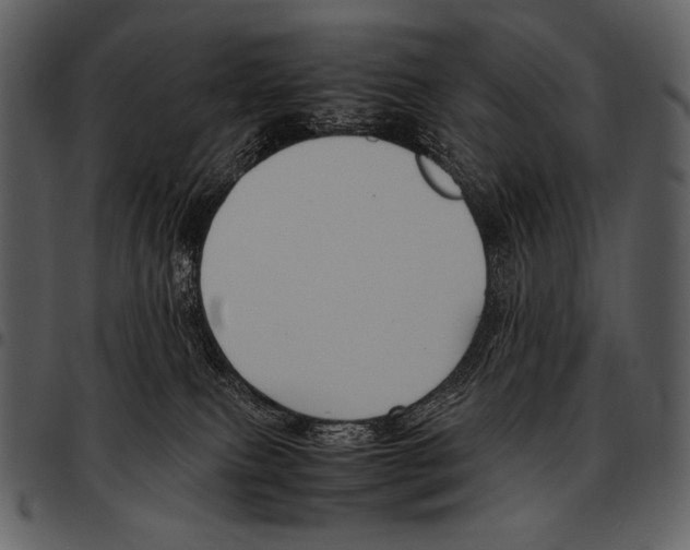 X0000097500087200803201602