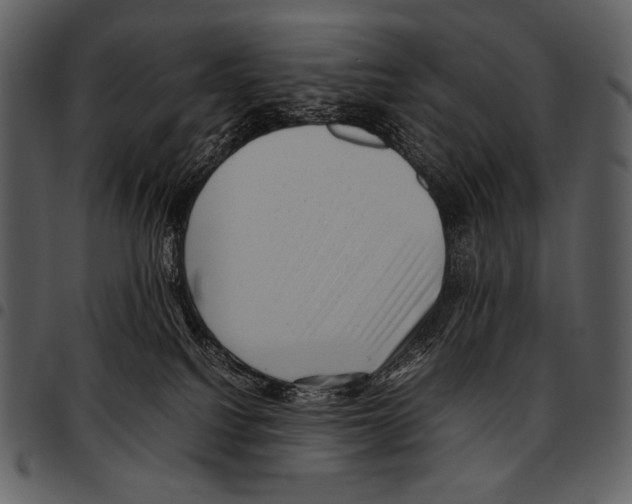 X0000097500088200803201602