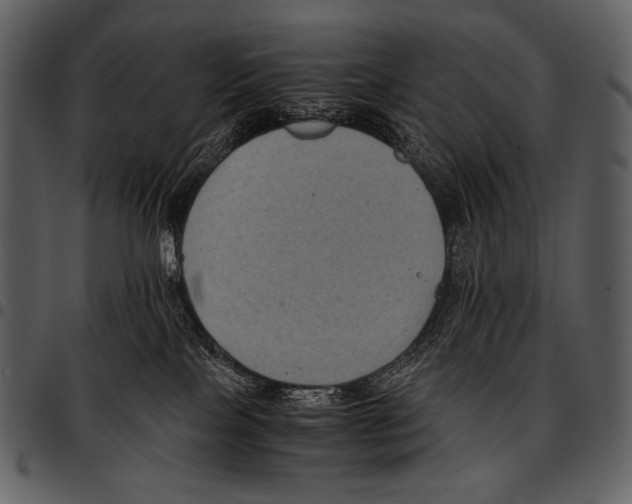X0000097500089200803201602