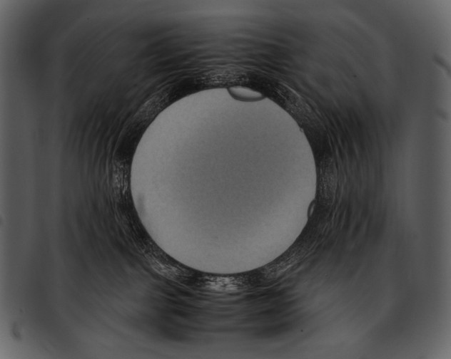 X0000097500091200803201602
