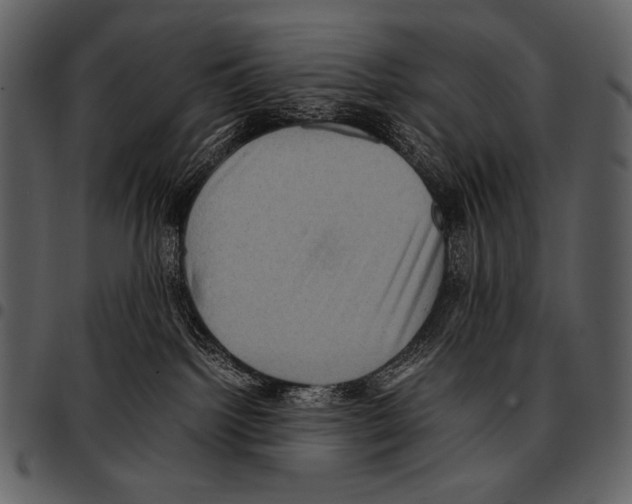 X0000097500092200803201602