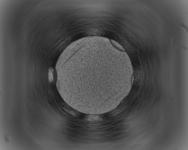 X0000097500095200803201602