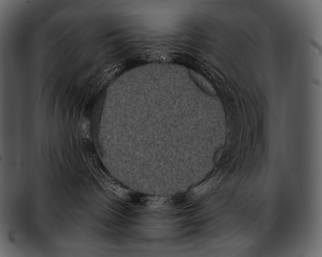 X0000097500096200803201602