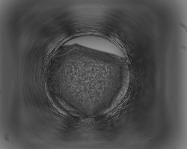 X0000097500097200803201601