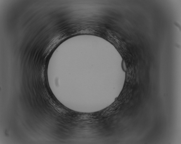 X0000097500098200803201601