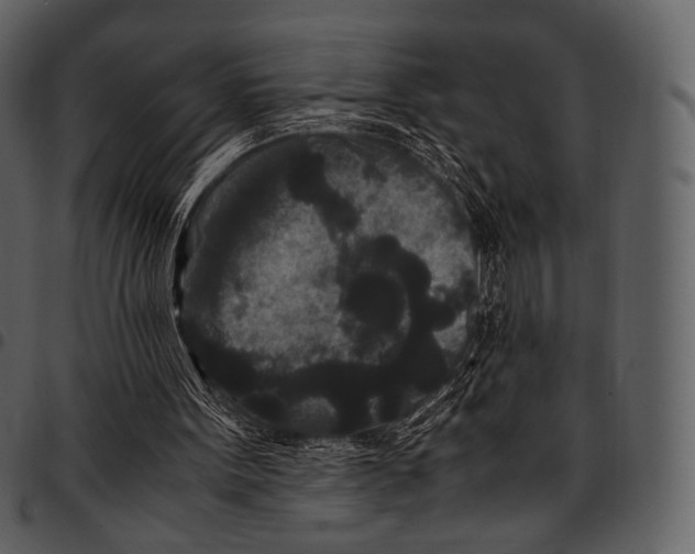 X0000097500099200803201601