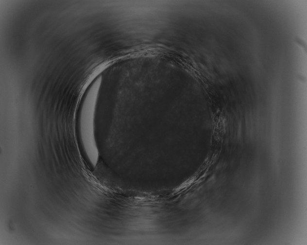 X0000097500100200803201601
