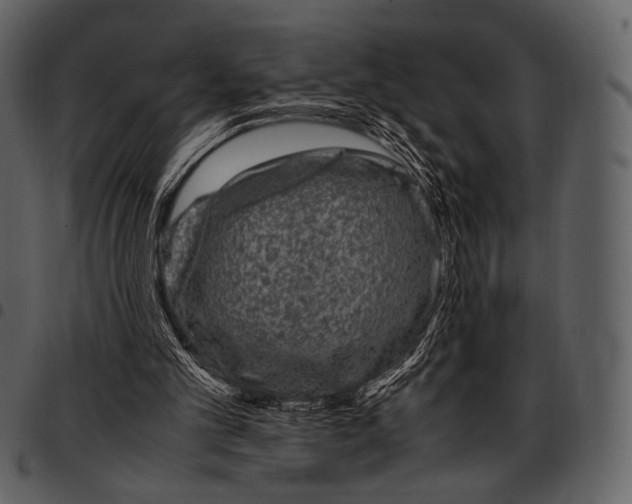 X0000097500101200803201601