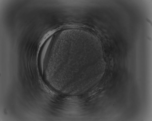 X0000097500104200803201601