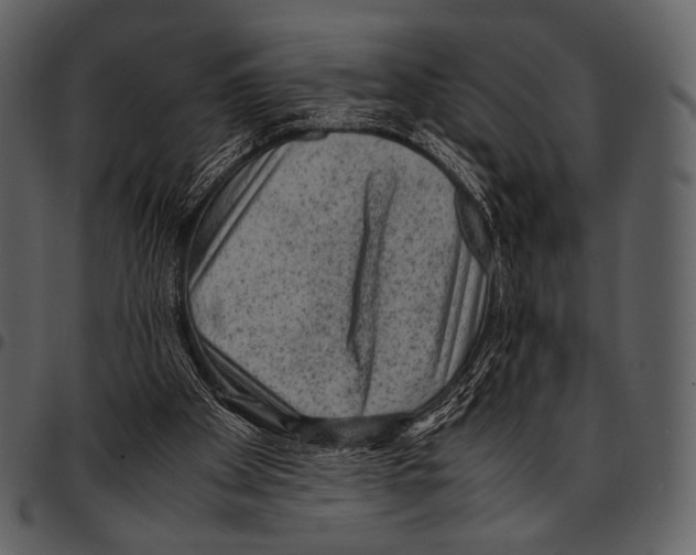 X0000097500105200803201601