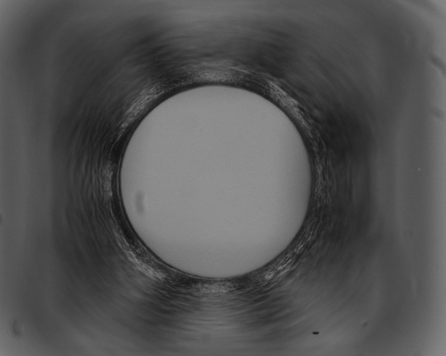 X0000097500106200803201601