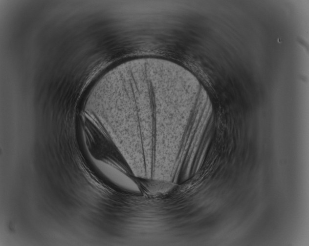 X0000097500108200803201601