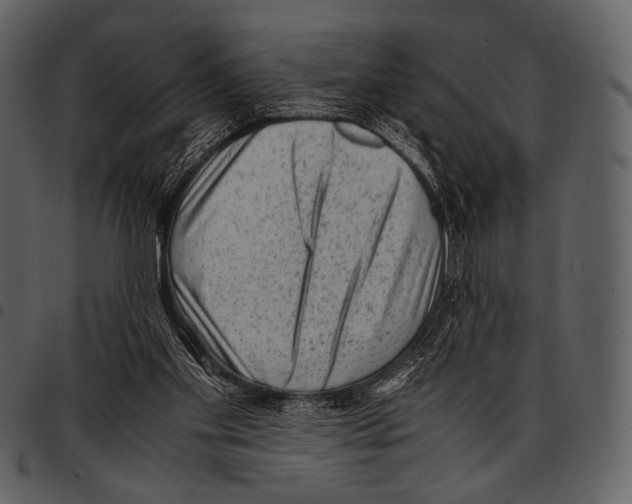 X0000097500109200803201601