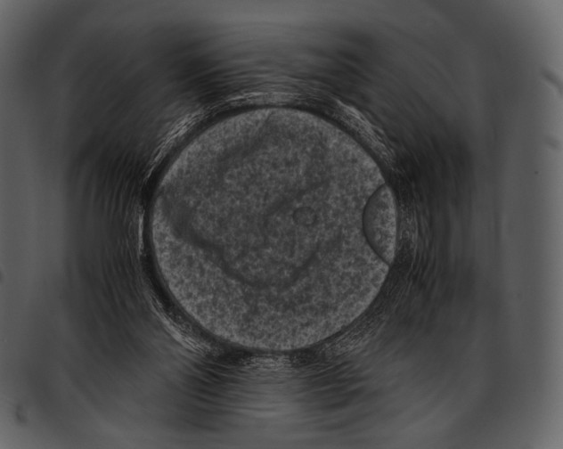 X0000097500110200803201601