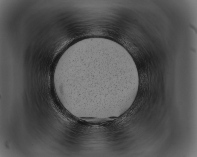 X0000097500112200803201601
