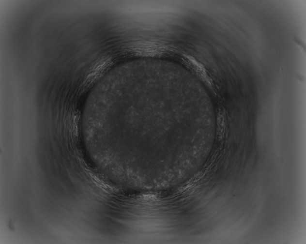 X0000097500114200803201601