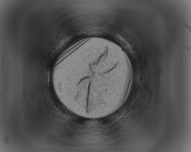 X0000097500115200803201601