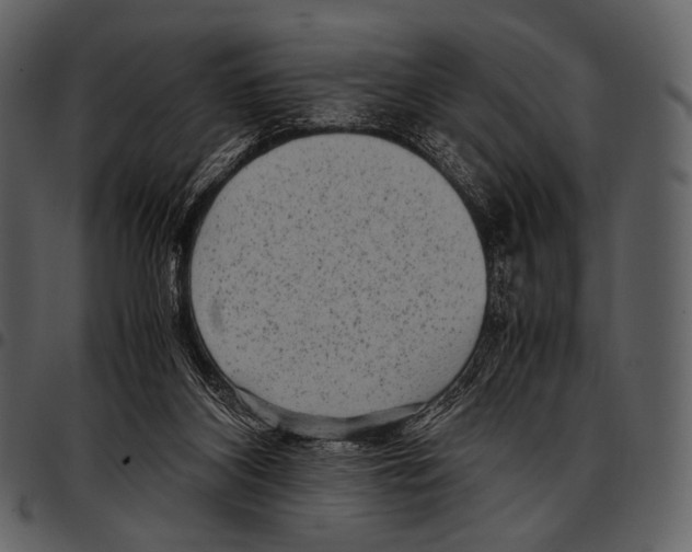 X0000097500116200803201601