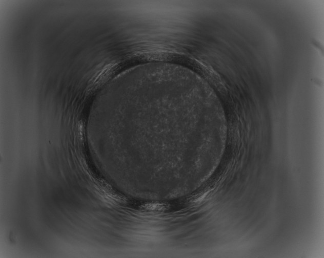 X0000097500117200803201601