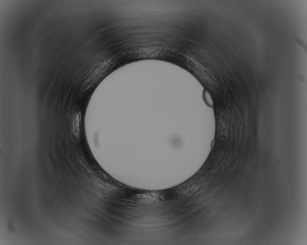 X0000097500118200803201601