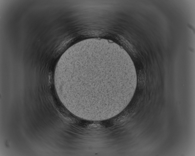 X0000097500119200803201601