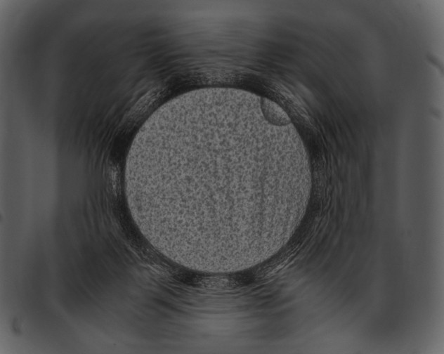 X0000097500123200803201601