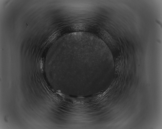 X0000097500124200803201601