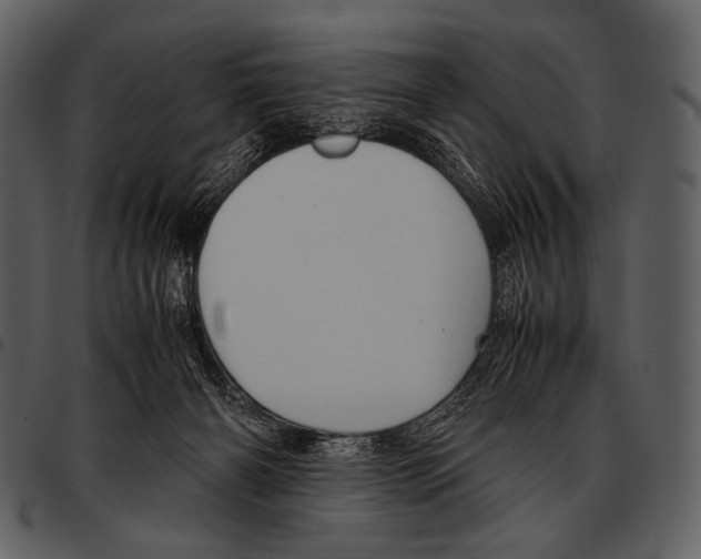 X0000097500126200803201601